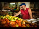 The Vegetable Vendor  Central Market Old  Havana