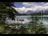 Beauvert Lake Jasper National Park Canada
