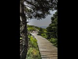 Green Cove - Nova Scotia