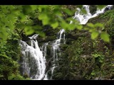 Hiking in Killarney National Park
County Kerry Ireland
