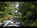 cascading falls along milford track