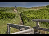 Greenwich Dunes - Prince Edward Island