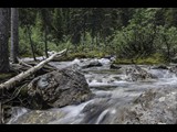 The Headwaters of Lake Louise Banff National Park Canada