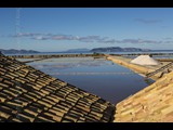 12.-The Salt Pans of Sicily - Italy