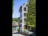 Three Potted Palms - Kaiserstuhl Switzerland-21