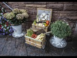 Vegetables and Flowers - Baden-Baden Germany-23