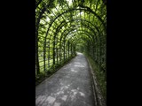 Walkway at Linderhof Palace - Ettal Germany-34